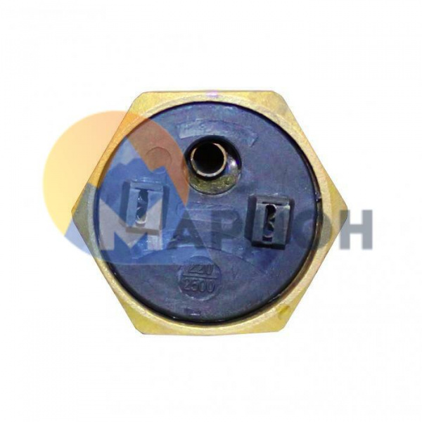 20248 Нагрев. элемент тип RDT 2,5 кВт M6